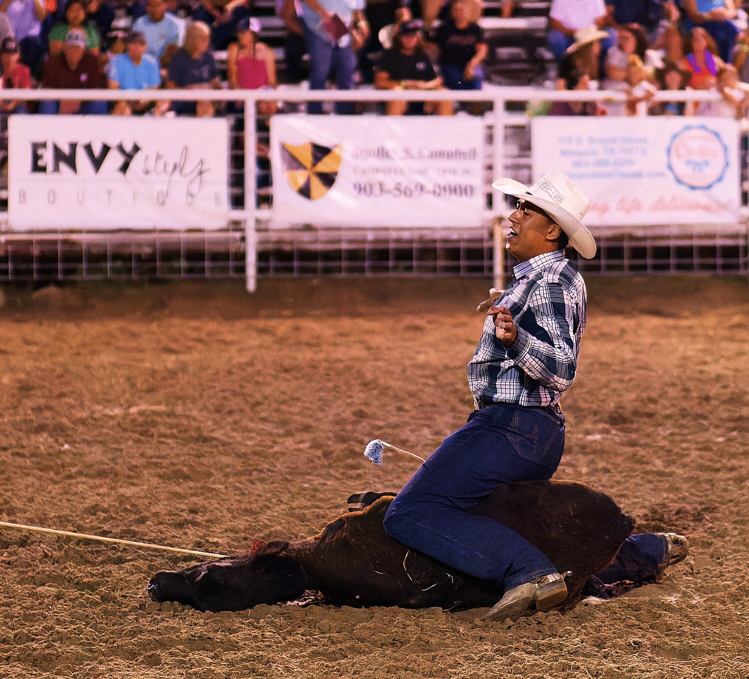 The steer wrestler let's you know they're done with a gesture and a sigh of relief. [see more sights and MFDR 2023 rodeo action]